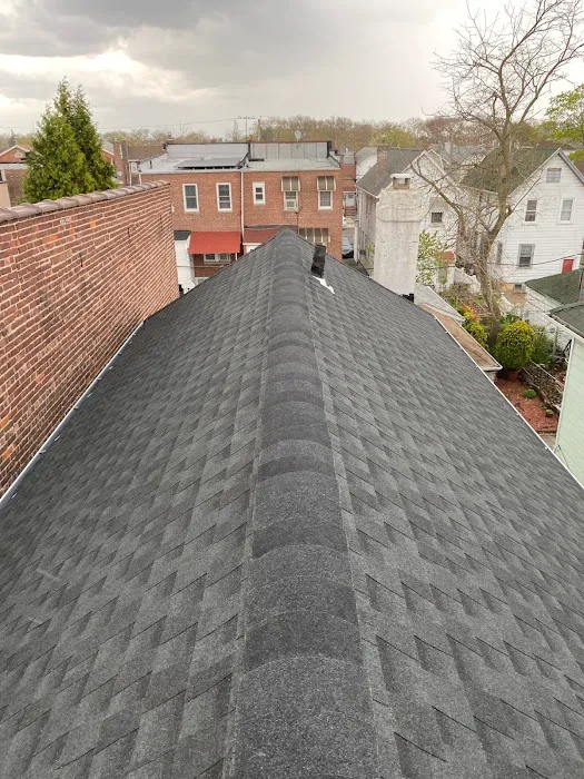 Mighty Roofing Picture 7