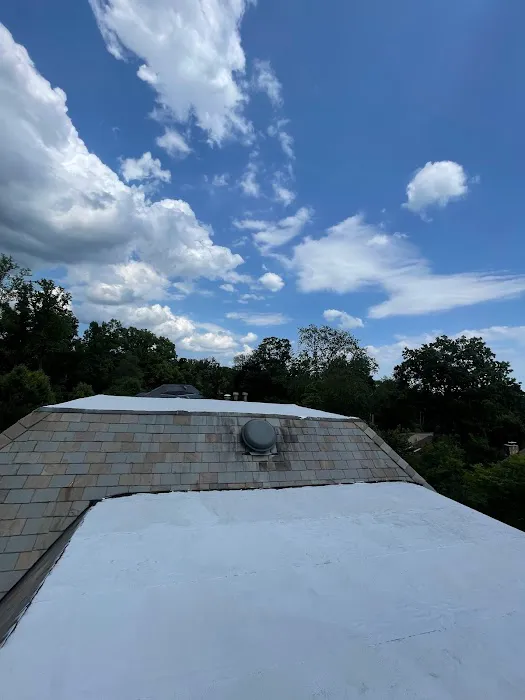 Supreme Island Roof Repair Picture 3