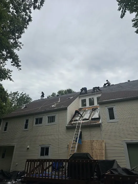 Supreme Island Roof Repair Picture 4