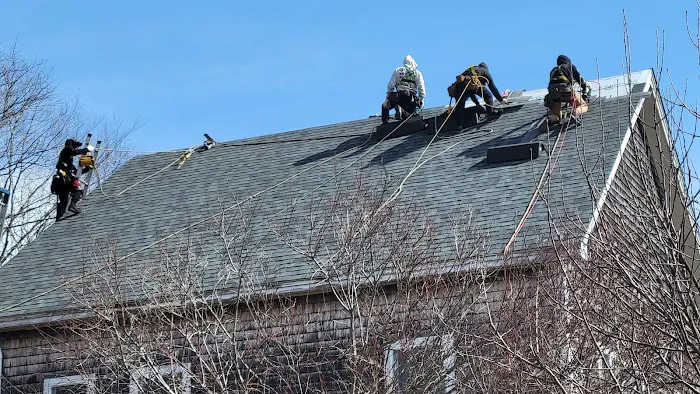 Home Roofing Solutions Picture 6