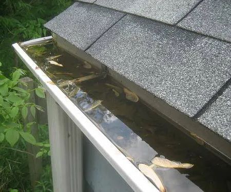 Swift Gutters
