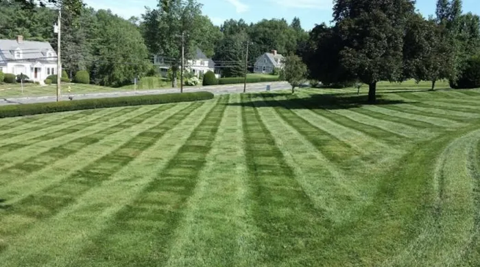 Sharpest Edge Landscaping Picture 1
