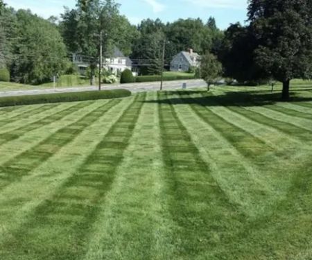 Sharpest Edge Landscaping