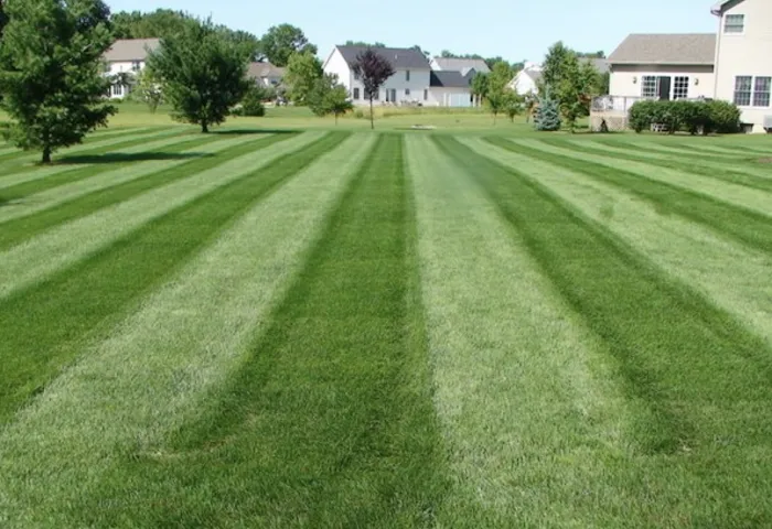 Sharpest Edge Landscaping Picture 2