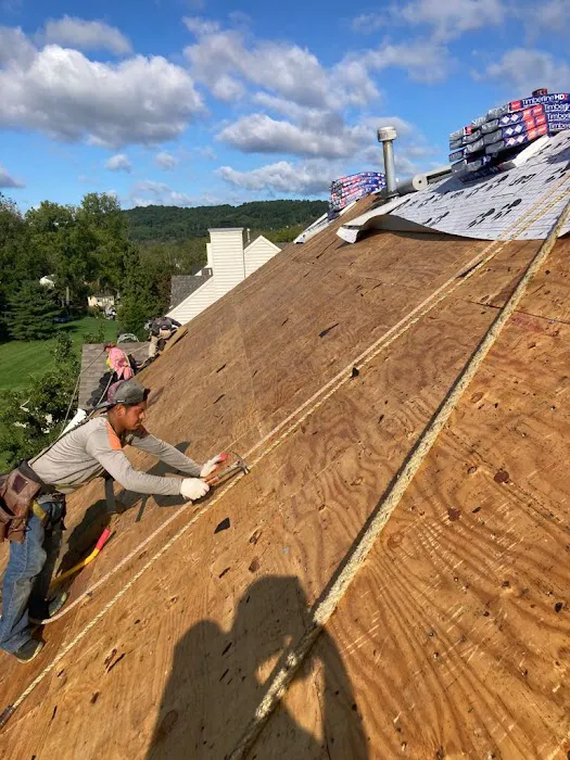 Hammer Noise Roofing Picture 8