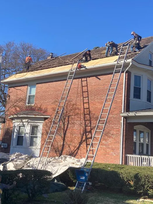 Hammer Noise Roofing Picture 7