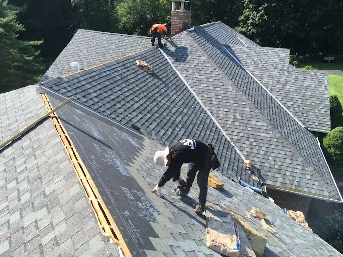 Hammer Noise Roofing Picture 6