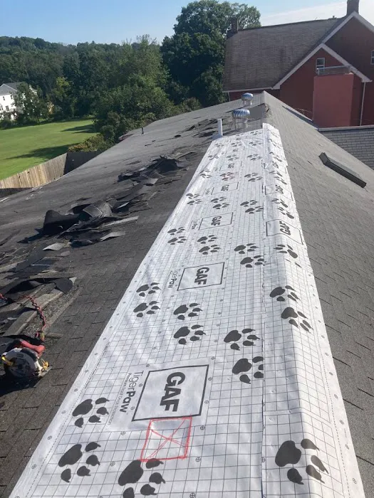 Hammer Noise Roofing Picture 10