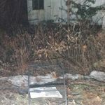 J.M. Grove - Construction & Supply