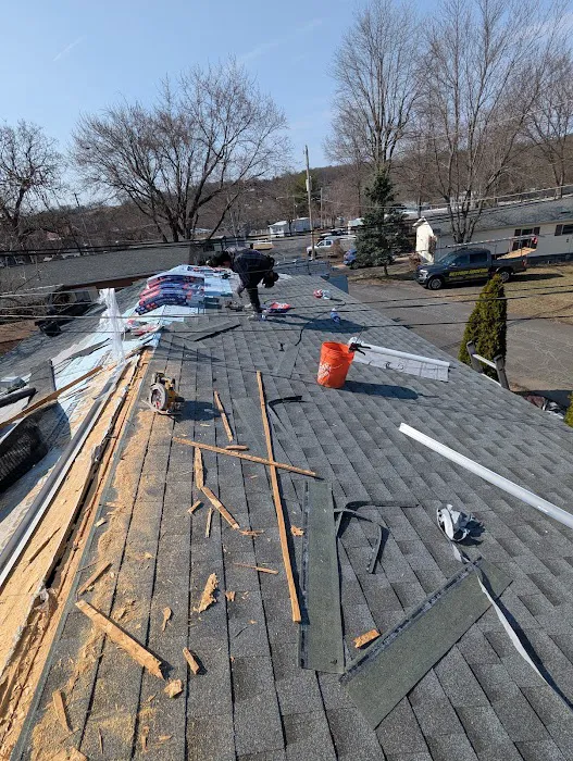 Restore Roofing Picture 2
