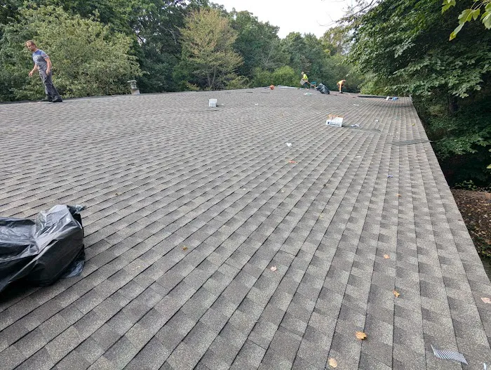 Restore Roofing Picture 8