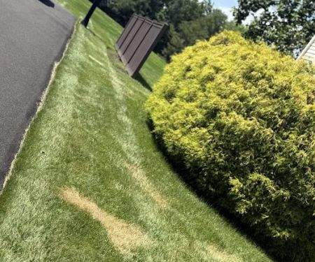 Janville Roofing & Siding