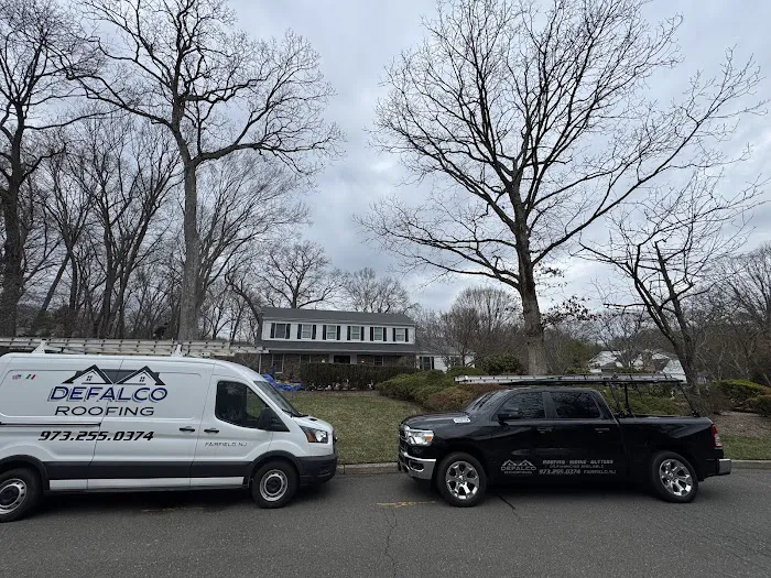 DeFalco Roofing Picture 10