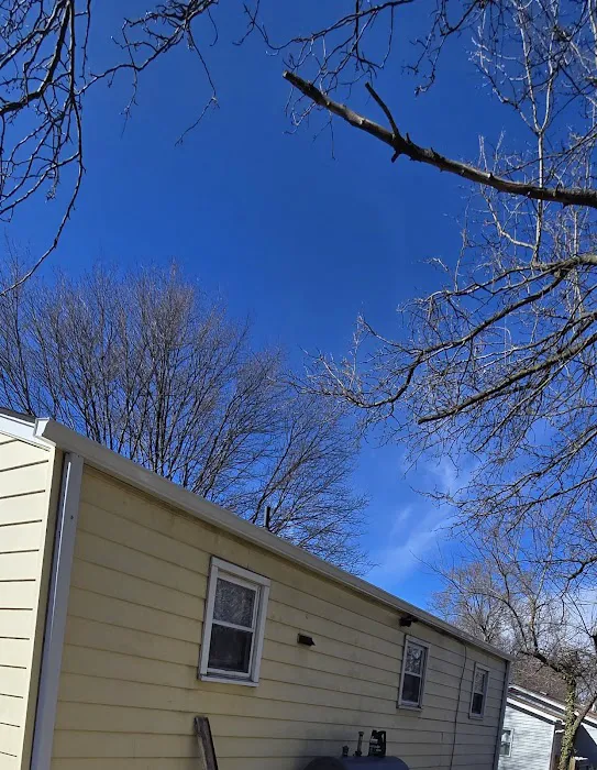 Top American Exteriors LLC Picture 4