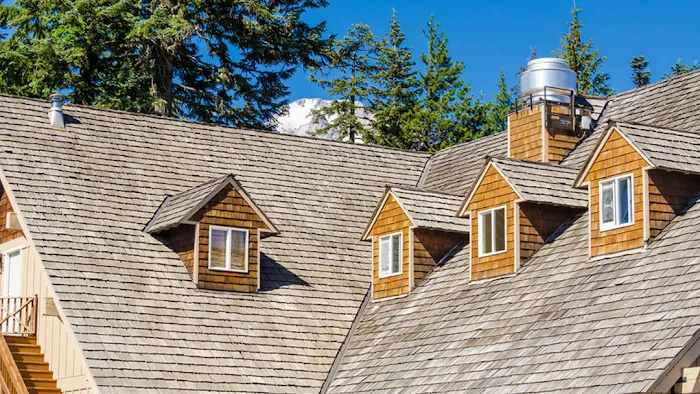 DeVito Roofing Picture 1