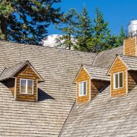 DeVito Roofing ico