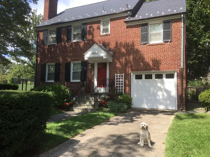 Roof Solutions, Inc. Picture 8