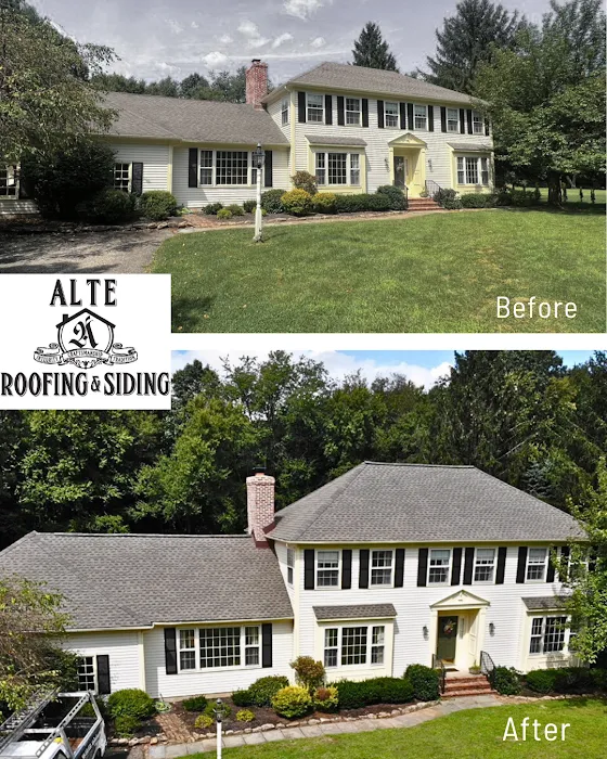Alte Roofing Picture 5
