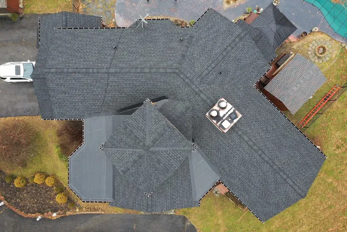 Alte Roofing Picture 2