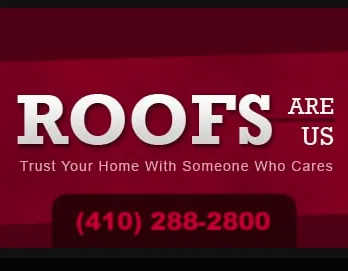 Roofs Are US Picture 3