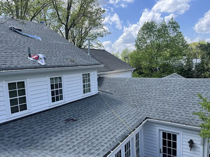 Royale Roofing & Chimney Picture 1