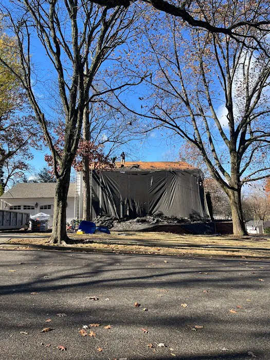 Royale Roofing & Chimney Picture 10