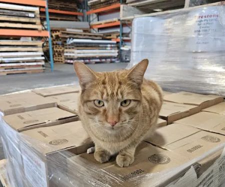 Rosedale Roofing Co Inc