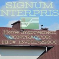 Signum Enterprise LLC ico