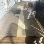 Profine Construction LLC