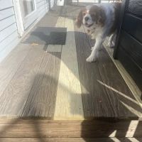 Profine Construction LLC ico