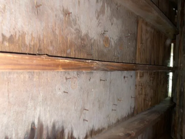 The Great American Roofing Company Picture 4