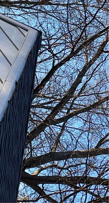 Gt's Roofing and Leak Repairs Picture 1