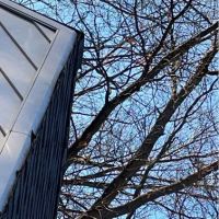 Gt's Roofing and Leak Repairs ico
