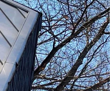 Gt's Roofing and Leak Repairs