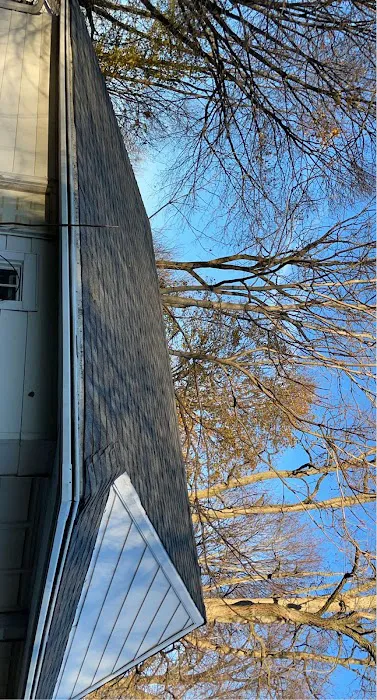 Gt's Roofing and Leak Repairs Picture 4