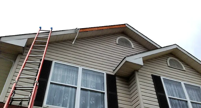 Tiger Exteriors Picture 6