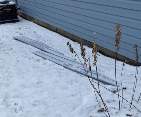 The Bearded Carpenter