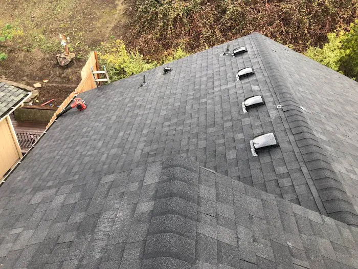 Blitz Roofers Picture 1