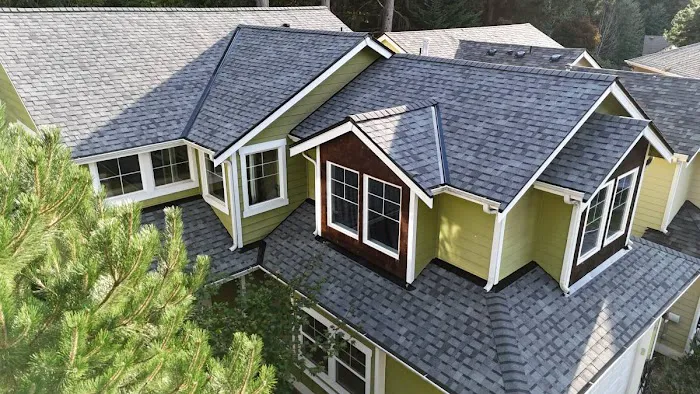 Blitz Roofers Picture 5
