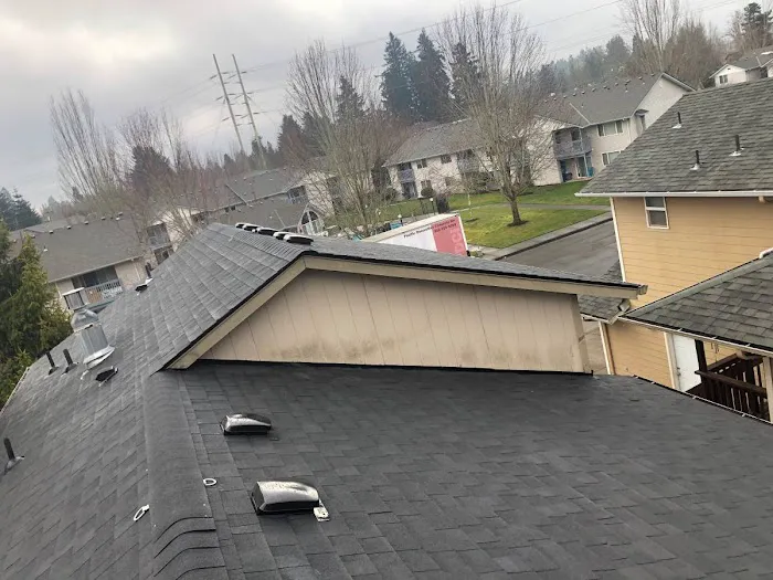 Blitz Roofers Picture 6