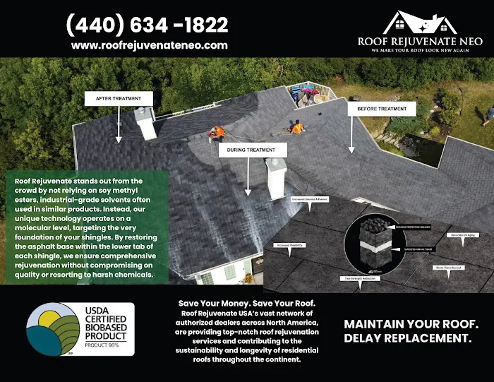 Roof Rejuvenate NEO Picture 2