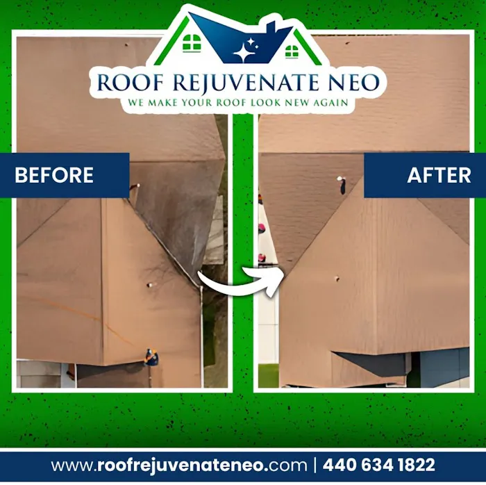 Roof Rejuvenate NEO Picture 3