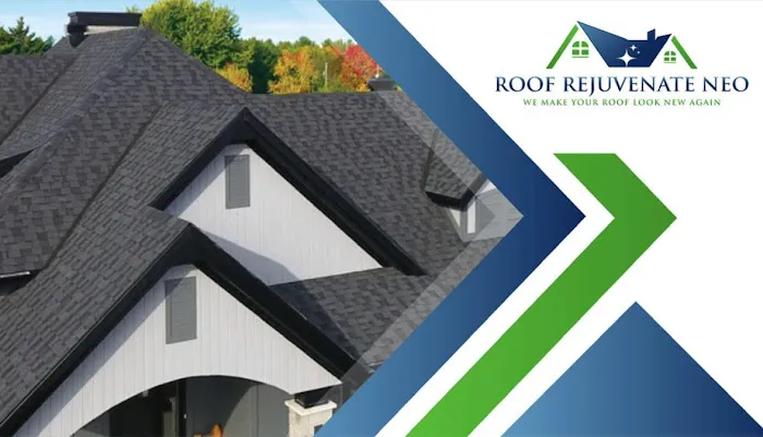 Roof Rejuvenate NEO Picture 1