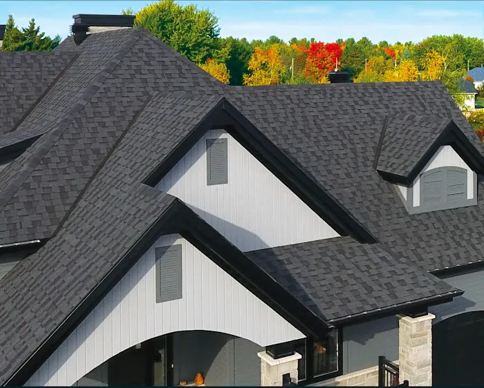 Roof Rejuvenate NEO Picture 4
