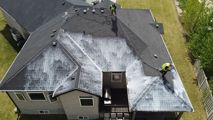 Roof Rejuvenate NEO Picture 5
