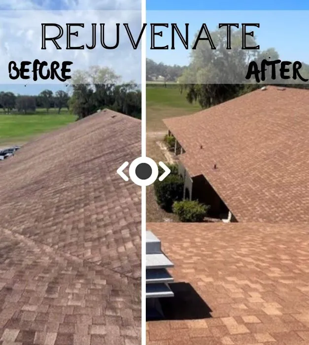 Roof Rejuvenate NEO Picture 7