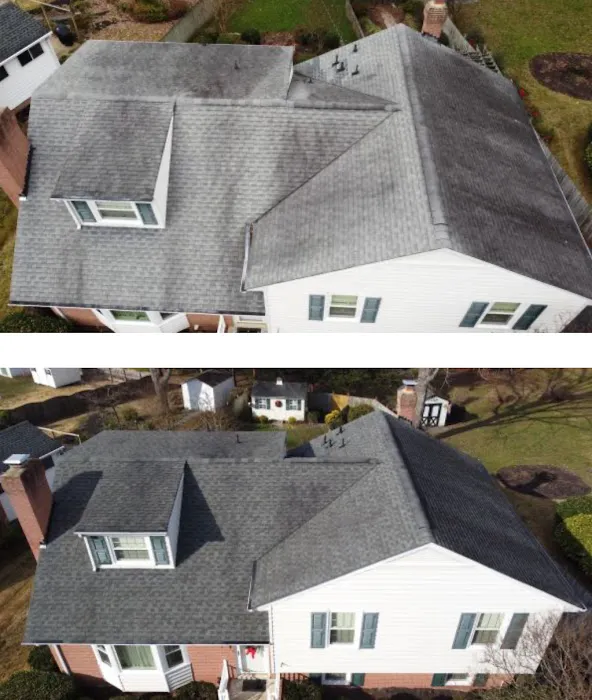 Roof Rejuvenate NEO Picture 8