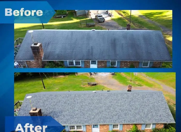 Roof Rejuvenate NEO Picture 10
