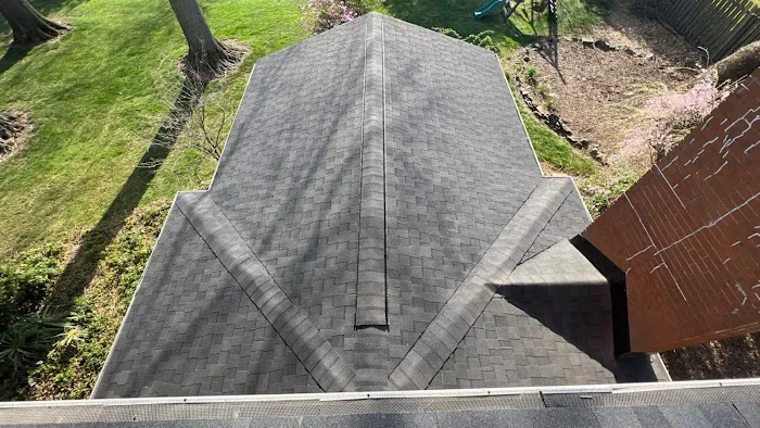 Roof 2 Roof Picture 2