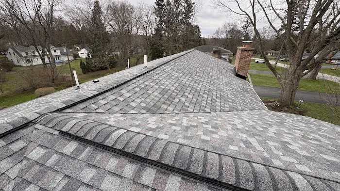 Lilac Roofing Picture 3
